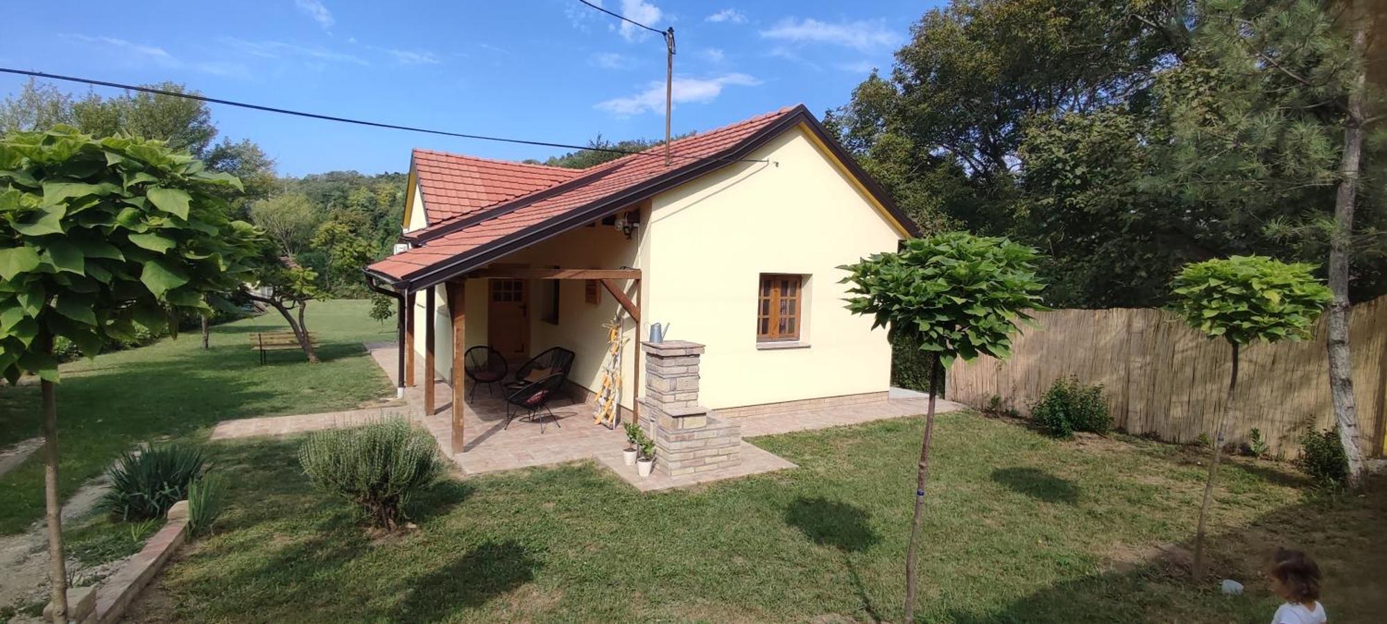 Villa Fruska House Besenovacki Prnjavor Exterior foto